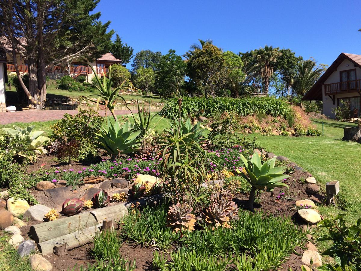 Fish Eagle Lodge Knysna Exterior photo