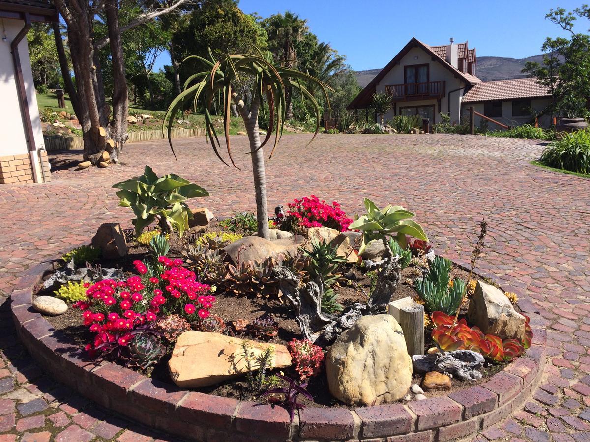 Fish Eagle Lodge Knysna Exterior photo